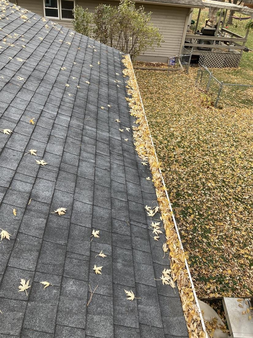 Gutter packed with fallen leaves and roof grit before cleaning
