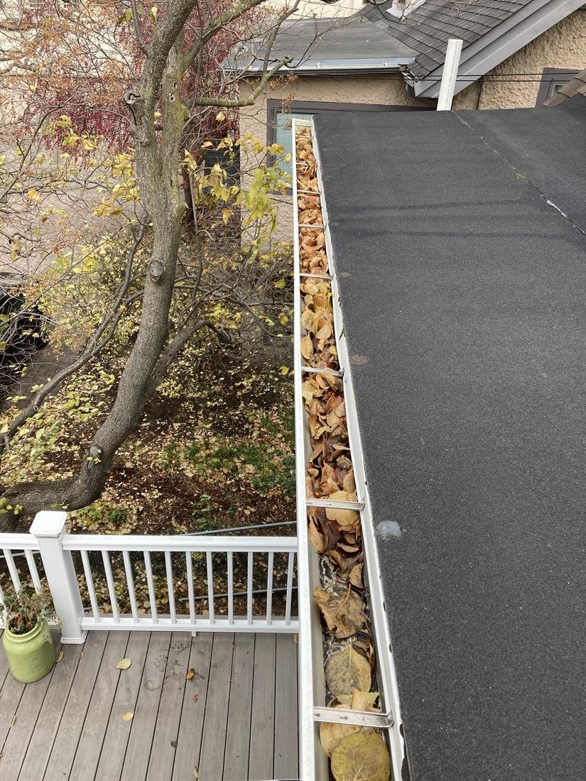Gutter above a white deck railing completely filled with wet brown leaves