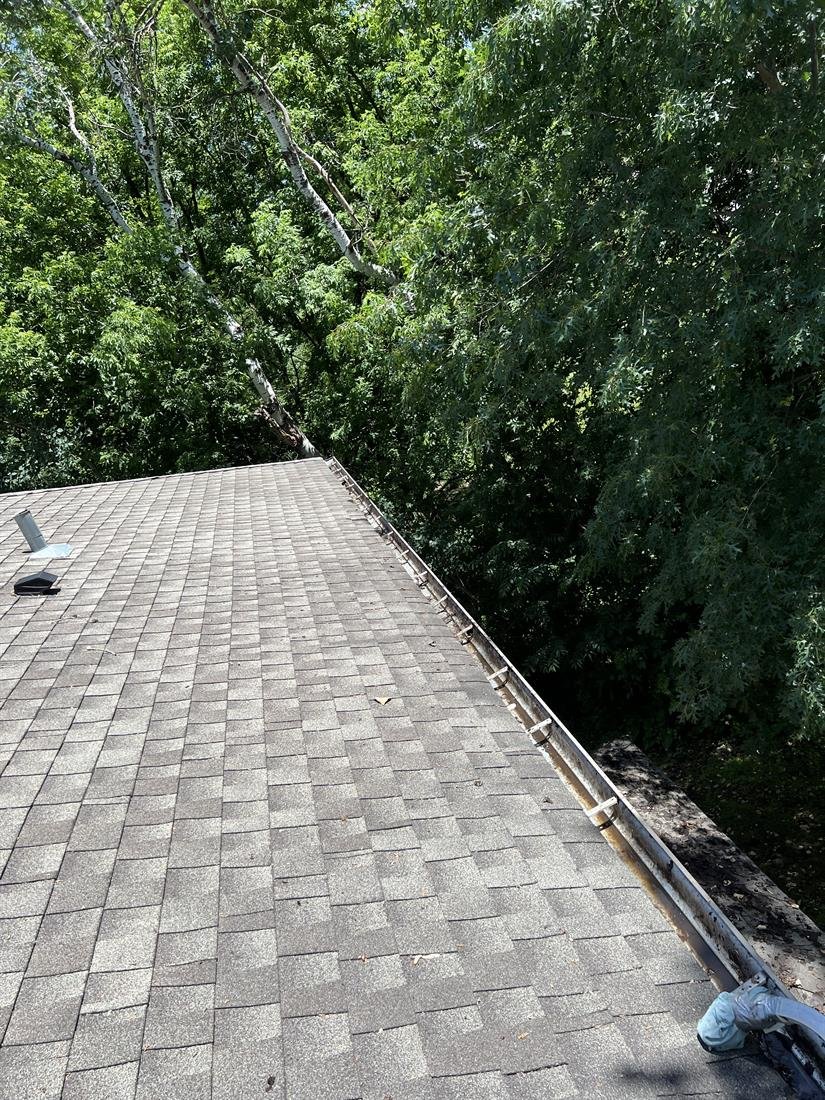 The same tree-shaded gutter run cleaned out