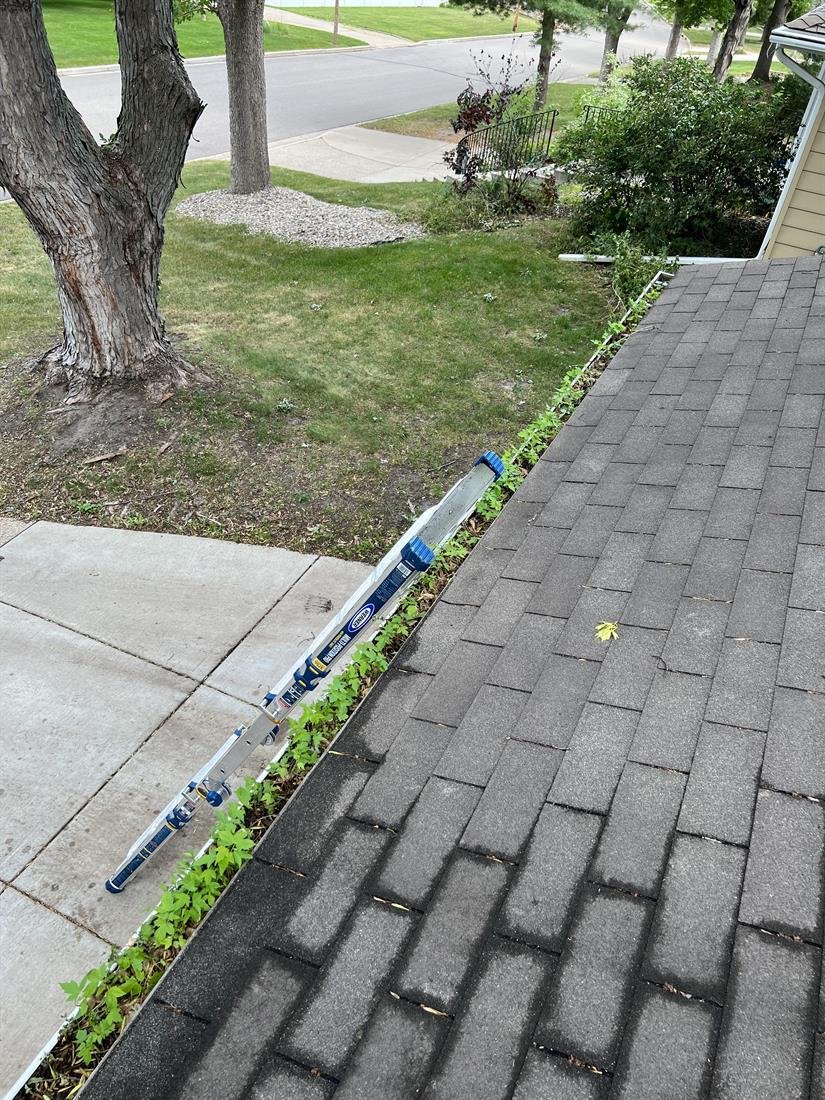 Gutter with weeds and green growth sprouting out of the trapped debris